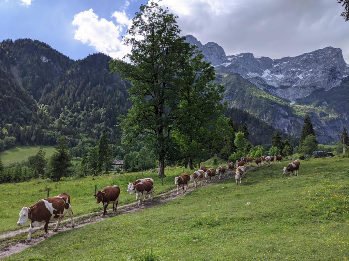 Bio Bauernhof Vorderoberlehen Hotel Верфенвенг Екстериор снимка