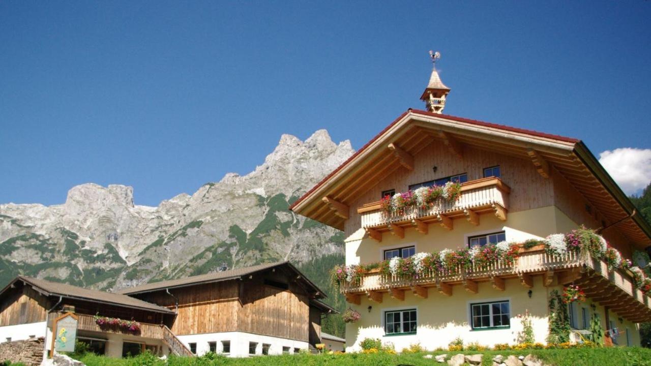 Bio Bauernhof Vorderoberlehen Hotel Верфенвенг Екстериор снимка