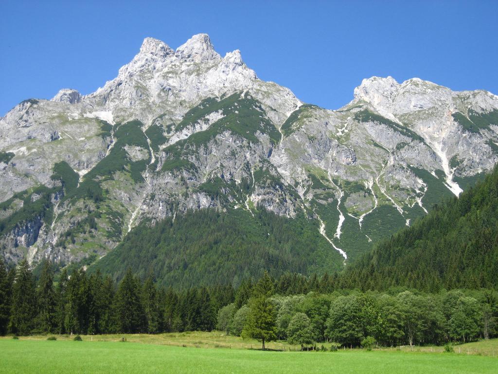 Bio Bauernhof Vorderoberlehen Hotel Верфенвенг Екстериор снимка