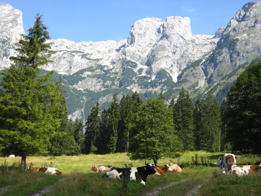 Bio Bauernhof Vorderoberlehen Hotel Верфенвенг Екстериор снимка