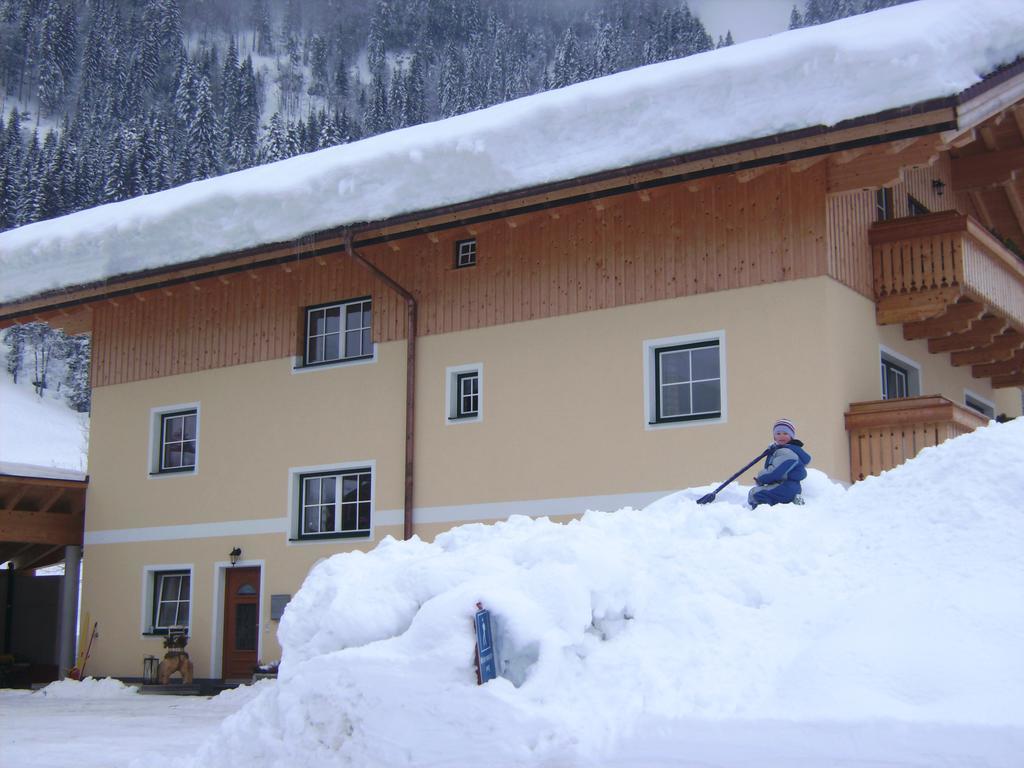 Bio Bauernhof Vorderoberlehen Hotel Верфенвенг Екстериор снимка
